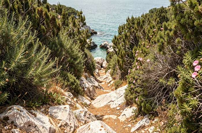 Sentier de randonnée rocailleux traversant le maquis corse menant à la plage sauvage des Trois Pointes près de Bonifacio